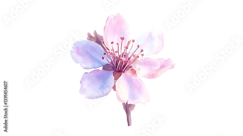 A watercolor painting of a pink flower with a white background