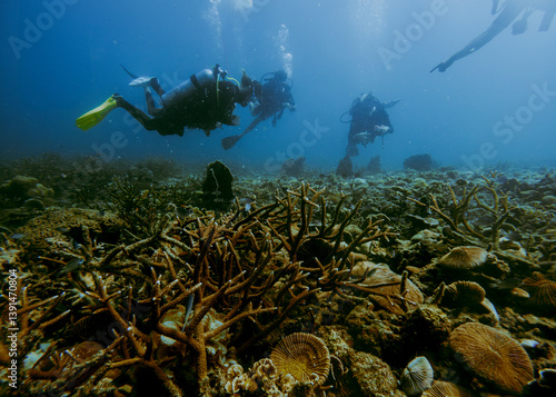 SCUBA DIVE THAILANDIA ISLAND KOH TAO KOH ROCK BEACH SNORKEL FLAG LONG BOAT