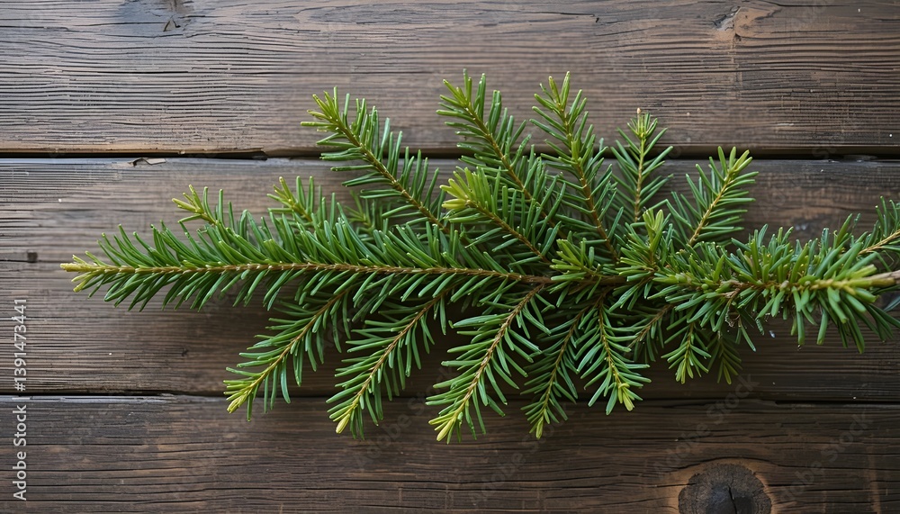 Spruce Branch Placed on a Rustic Wooden Background, Evoking a Cozy, Natural Atmosphere Spruce Branch Placed on a Rustic Wooden Background, Evoking a Cozy, Natural Atmosphere