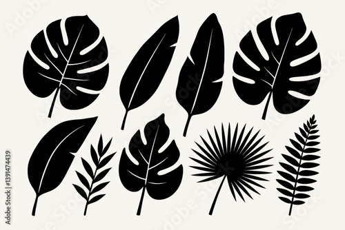 Set of tropical black leaf silhouettes on a white background. Monstera leaf, palm frond, banana leaf, bird of paradise, philodendron, fan palm, and fern.