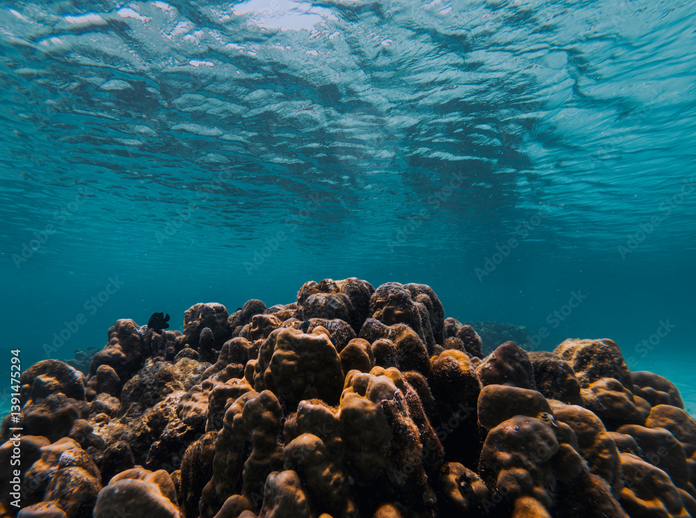 Fototapeta premium SCUBA DIVE THAILANDIA ISLAND KOH TAO KOH ROCK BEACH SNORKEL FLAG LONG BOAT