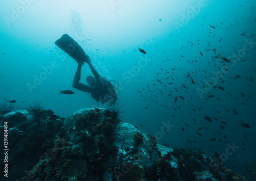 SCUBA DIVE THAILANDIA