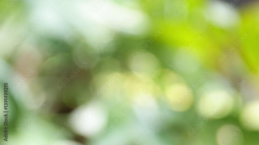 Green and gold bokeh