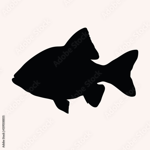 cherry barb fish 