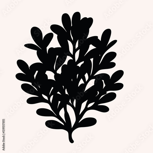 Sea-buckthorn 