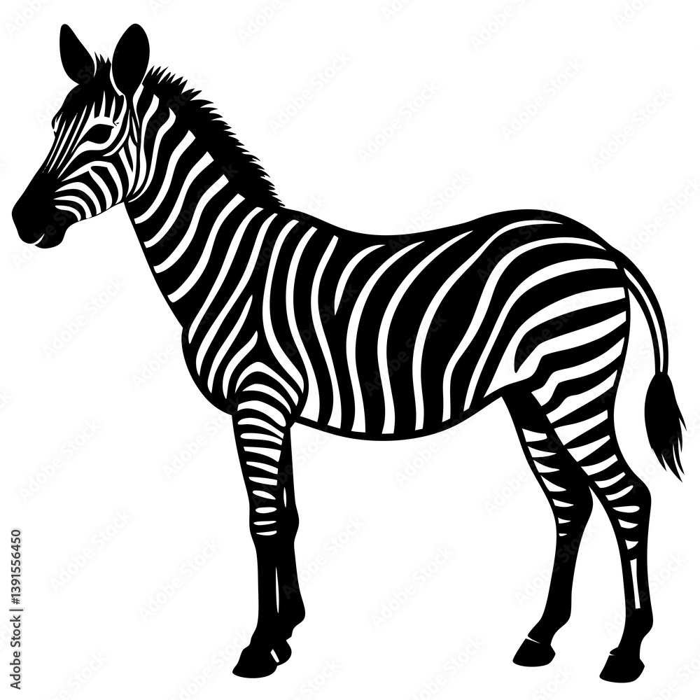 Fototapeta premium zebra isolated on white background