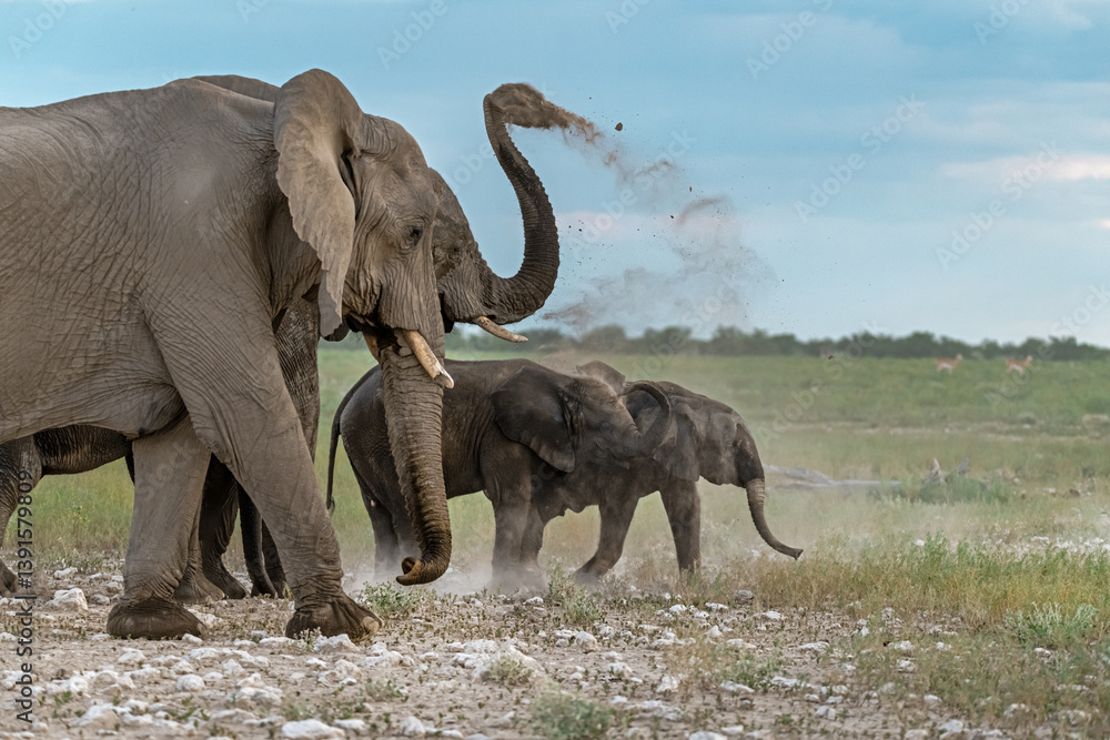 Obraz premium Elephant family herd crossing the savanna — animal of Africa 