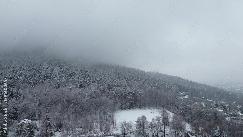 Scenic winter view of snowy mountains and trees