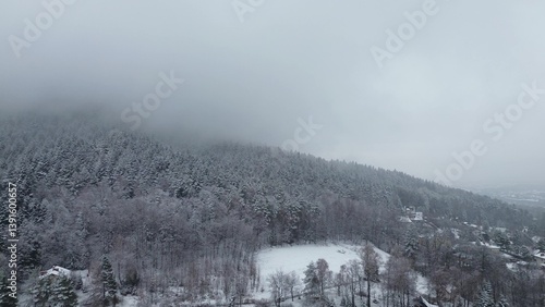 Obraz na płótnie Scenic winter view of snowy mountains and trees w salonie