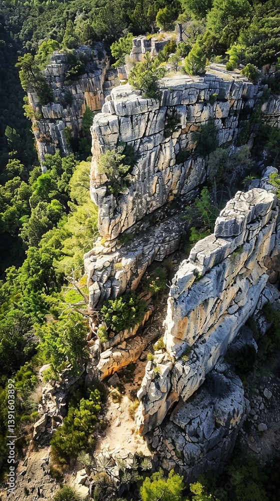 Fototapeta premium Aerial View of Dramatic Limestone Cliffs and Lush Green Forest