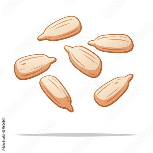 Peeled sunflower seeds vector isolated illustration