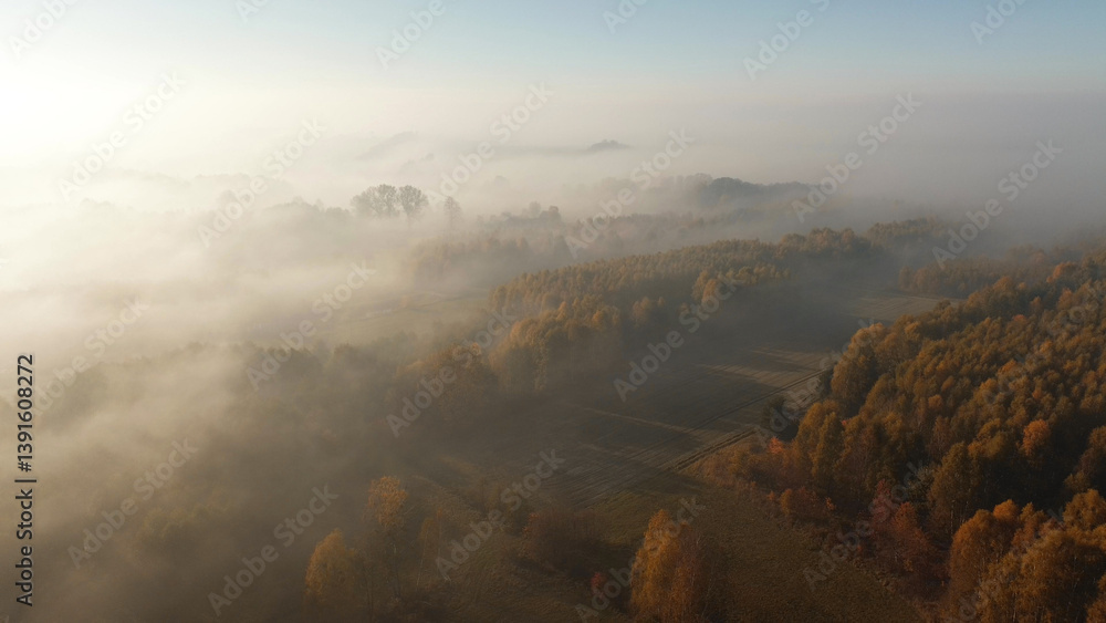 Early morning mist over autumn trees