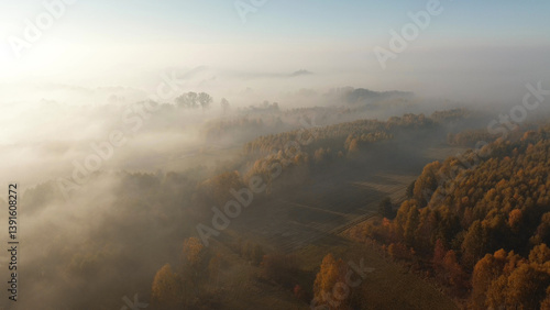 Obraz na płótnie Early morning mist over autumn trees w salonie