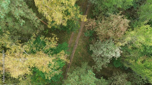 Obraz na płótnie Dirt path through colorful forest leaves w salonie
