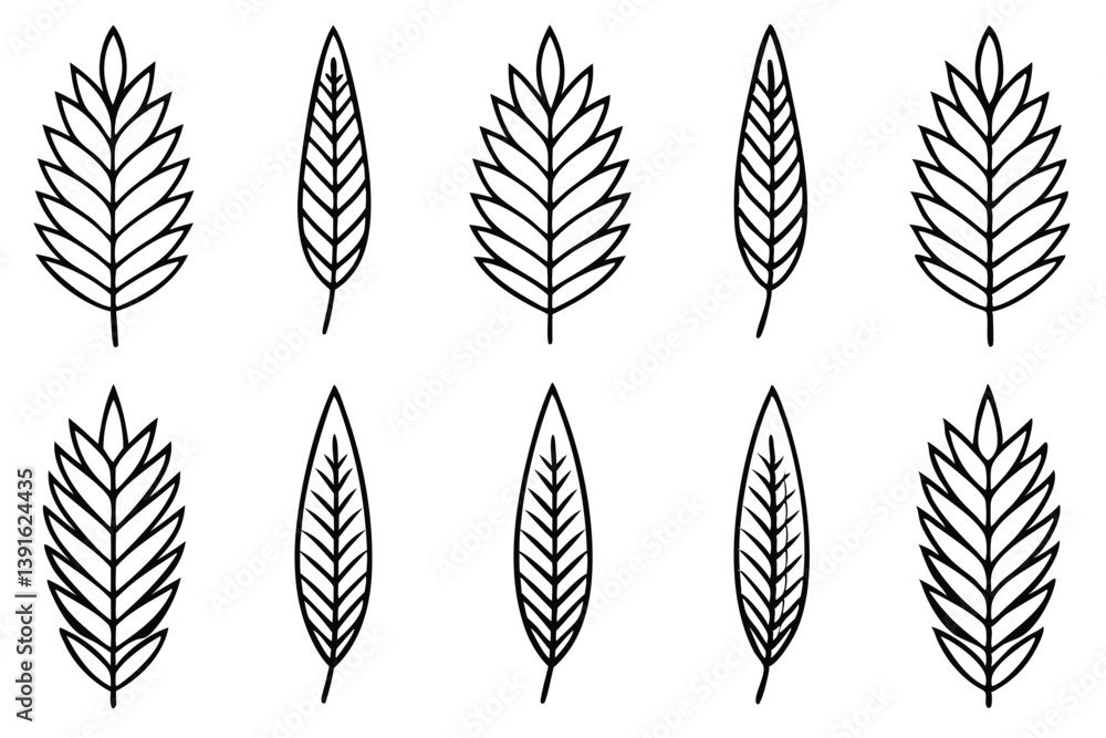 Mimosa Leaf Line Art Creative Sketch for Floral Illustration Mimosa Leaf Line Art Creative Sketch for Floral Illustration