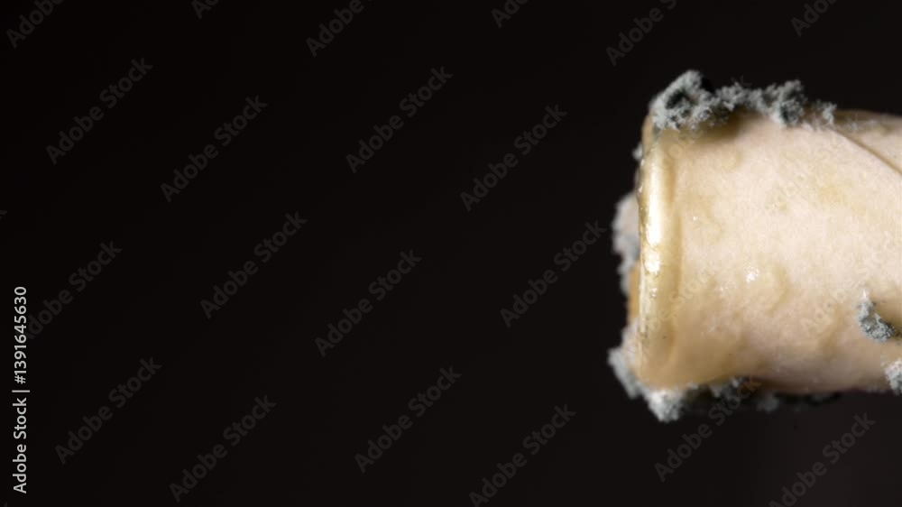 A close-up shot of a moldy paper straw, showcasing the texture against a dark backdrop.