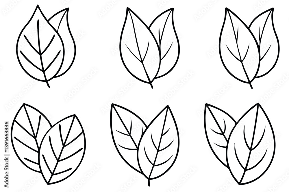 Lilac Leaf Line Art Detailed Drawing for Botanical Illustration Lilac Leaf Line Art Detailed Drawing for Botanical Illustration