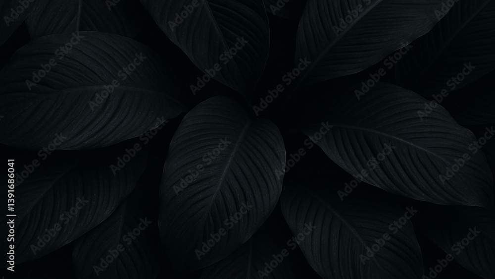 Flat lay dark nature concept textured abstract black tropical leaves creating moody natural background design Flat lay dark nature concept textured abstract black tropical leaves creating moody natural background design