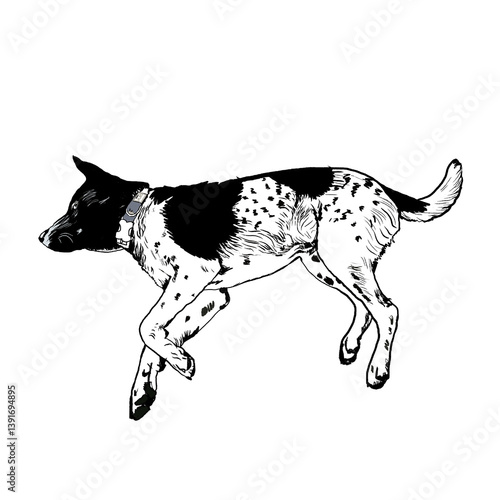 Hand-Drawn outlines of a puppy Black and white dog in various a resting pose, render in a doodle-style line art