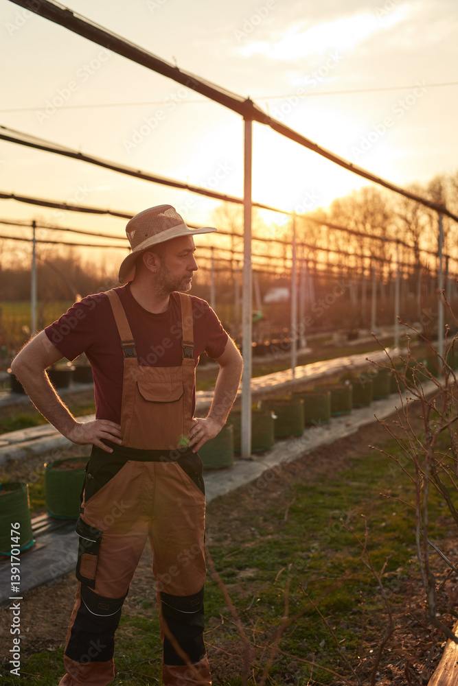 Male gardener with hat working in a blueberries organic farm.