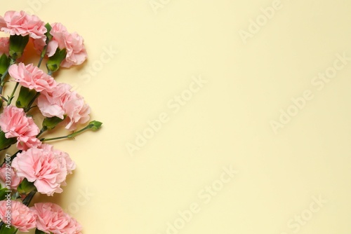 Happy Mother's Day. Beautiful bouquet of pink carnations on a colored background