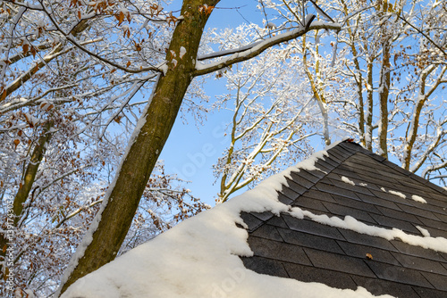 Wallpaper Mural A close-up of a dark, snow-covered shingle roof of a wooden structure, surrounded by snow-covered trees in a winter forest Torontodigital.ca