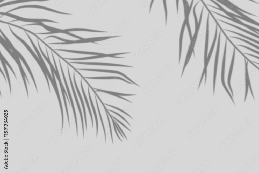 Abstract gray background with shadow of palm leaves falling on gray wall, for background and wallpaper, black and white monochrome tone. Abstract gray background with shadow of palm leaves falling on gray wall, for background and wallpaper, black and white monochrome tone.