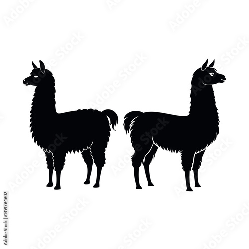 A brown camelid mammal, similar to a llama, with white fur is isolated on a white background.