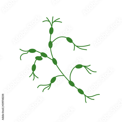 Lymph node cancer icon. Lymphocytic neoplasm sign. Vector illustration.