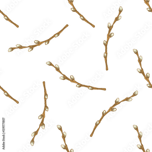 Hand drawn colored vintage seamless pattern of pussy willow branches for Easter