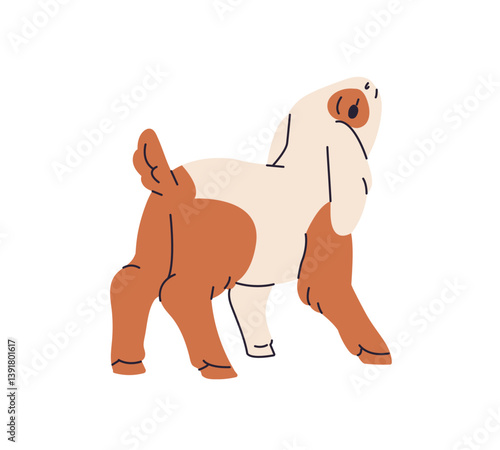 Cute baby goat looks up. Happy goatling with patterned fur in village. Adorable little yeanling in ranch. Farm animal of barnyard, homestead. Flat isolated vector illustration on white background