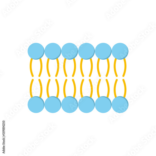 Phospholipid Molecule in Liposome. Micelle Structure. Vector illustration.