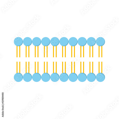 Phospholipid Molecule in Liposome. Micelle Structure. Vector illustration.