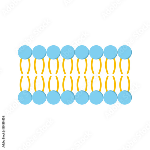Phospholipid Molecule in Liposome. Micelle Structure. Vector illustration.