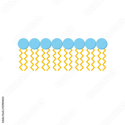 Phospholipid Molecule in Liposome. Micelle Structure. Vector illustration.