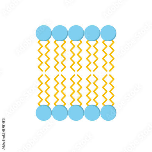 Phospholipid Molecule in Liposome. Micelle Structure. Vector illustration.