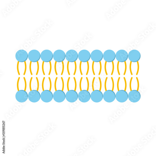 Phospholipid Molecule in Liposome. Micelle Structure. Vector illustration.