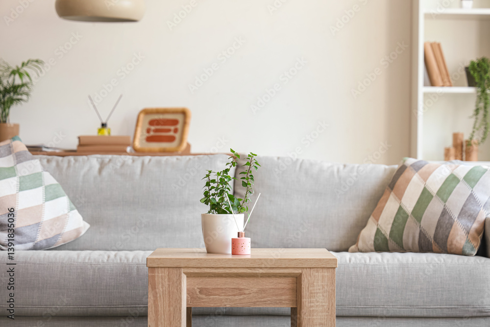Aroma diffuser and houseplant on wooden table and comfortable sofa in interior of living room