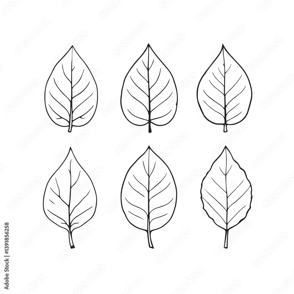 Obraz premium Betel Leaf Vector Line Art Modern Design Concept
