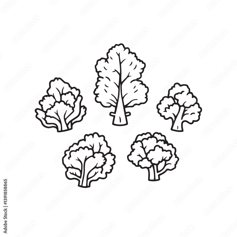 Cauliflower Leaf Vector Line Art Simple Organic Design Cauliflower Leaf Vector Line Art Simple Organic Design