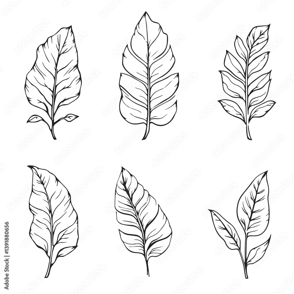 Banana Leaf Vector Line Art for Modern Designs Banana Leaf Vector Line Art for Modern Designs
