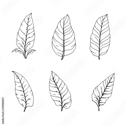 Banana Leaf Vector Line Art for Modern Designs