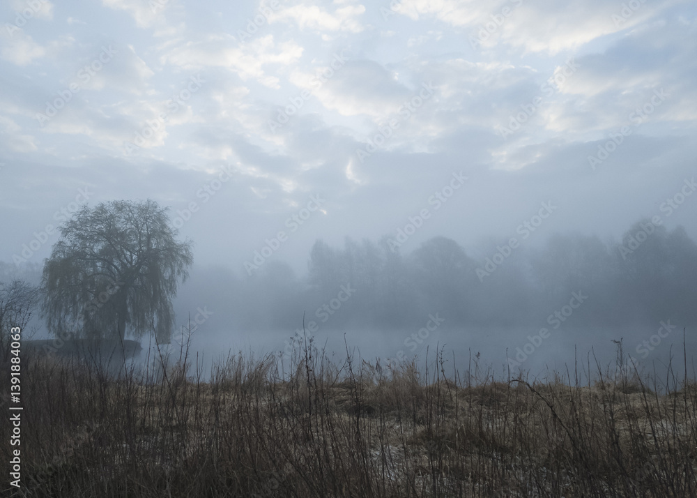 Obraz premium Misty morning at a lake with trees. A mystical morning scene at a lake in the fog. The trees are only just visible.