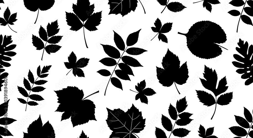 Fototapeta premium Black Leaf Symphony AI Generated