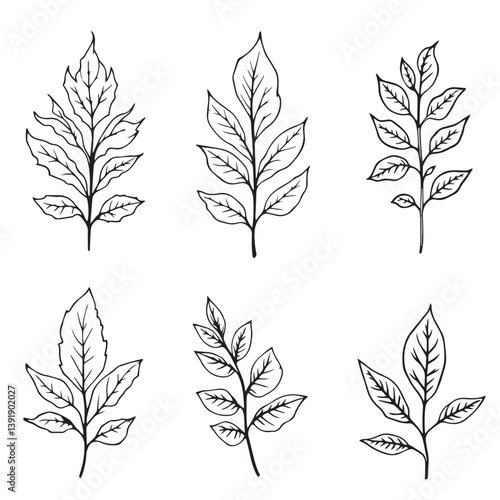 Minimalist Sandalwood Leaf Line Art Vector Illustration