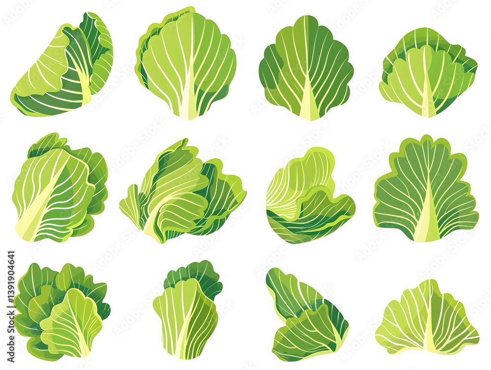 Fototapeta premium set of flat vector cabbage icons in multiple angles, bold outlines and bright green tones, modern food clipart, white background