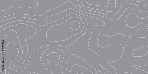 Abstract Black and White Wave Topographic Map Contour with Landscape Terrain Texture Grid for Use in Digital Design, Geospatial Mapping, and Modern Cartography Projects