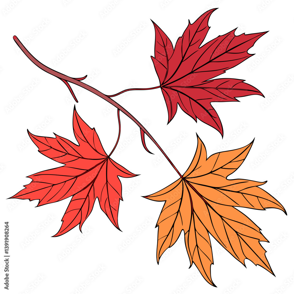 Classic Maple Leaf Vector Art for Canadian or Fall Themes Classic Maple Leaf Vector Art for Canadian or Fall Themes