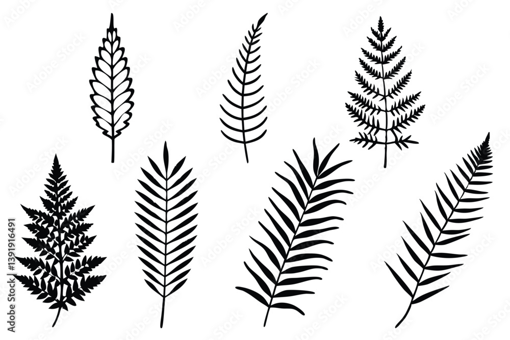 King Fern Leaf Line Art Drawing for Nature Inspired Artwork King Fern Leaf Line Art Drawing for Nature Inspired Artwork