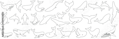 Whale line art set, whale outline silhouette vector featuring hand drawn marine mammal, minimalist ocean animal clipart includes whale tail, for logos, icons, and educational designs